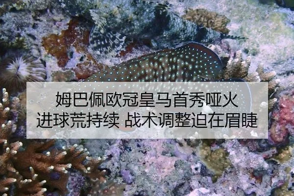 姆巴佩欧冠皇马首秀哑火 进球荒持续 战术调整迫在眉睫