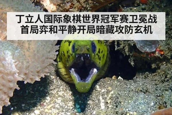 丁立人国际象棋世界冠军赛卫冕战首局弈和平静开局暗藏攻防玄机